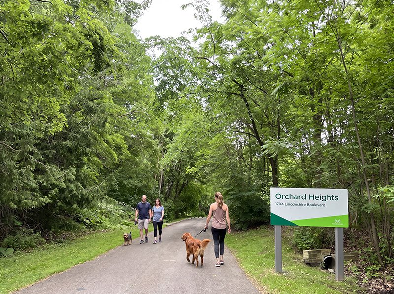 People walking their dogs in Orchard Heights